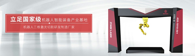 安徽斯塔克機(jī)器人有限公司
